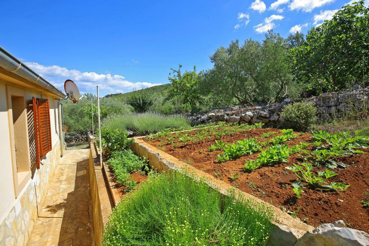 Villa House Neda, Dugi Otok Sali Exterior foto