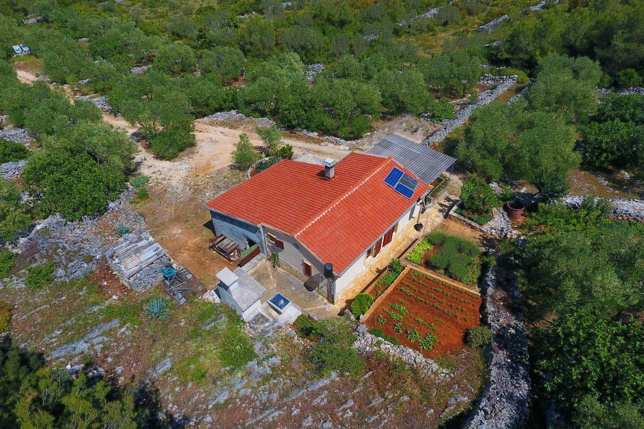 Villa House Neda, Dugi Otok Sali Exterior foto